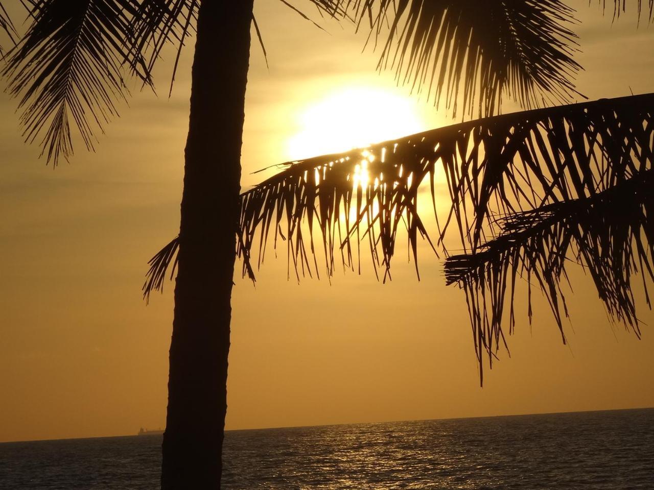 كالوتارا Amssler Beach Stay المظهر الخارجي الصورة